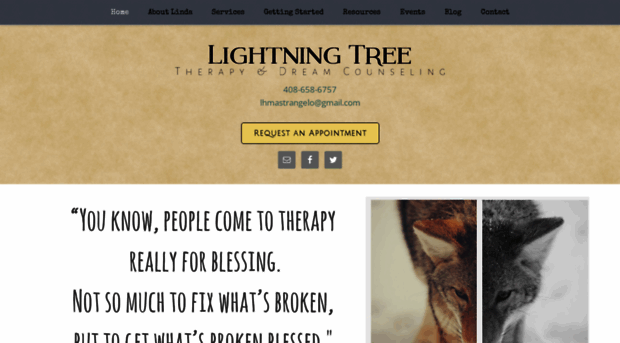 lightningtreetherapy.com