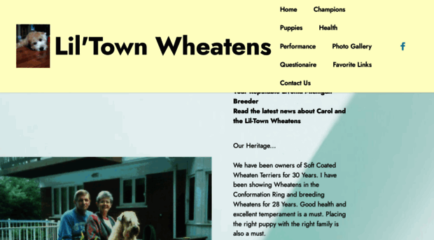 lil-townwheatens.com