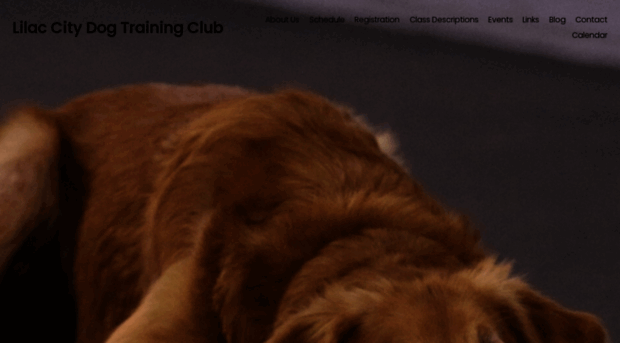 lilaccitydogtrainingclub.com