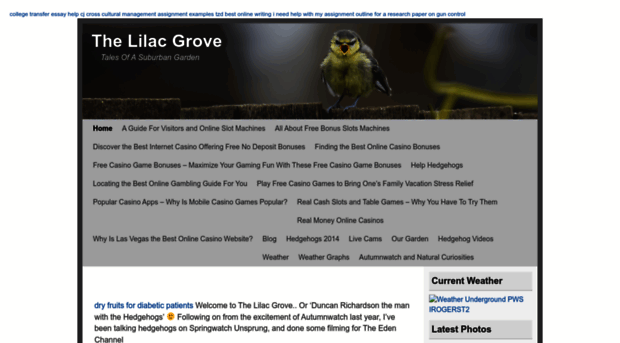 lilacgrove.co.uk