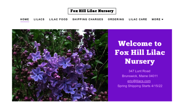 lilacs.com