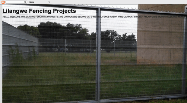 lilangwefencing.blogspot.com