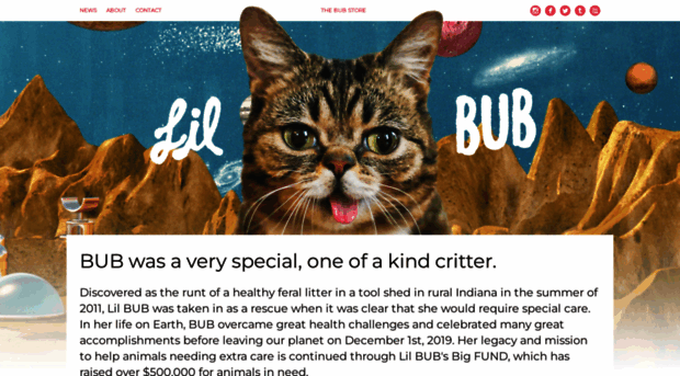 lilbub.com