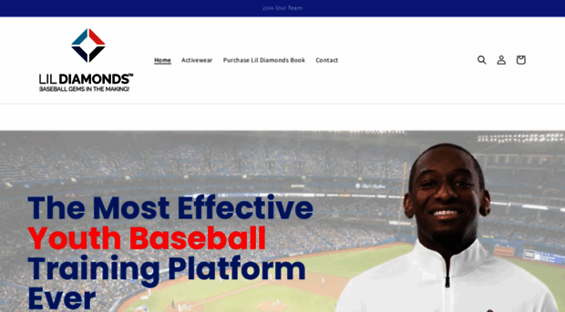 lildiamondsbaseball.com