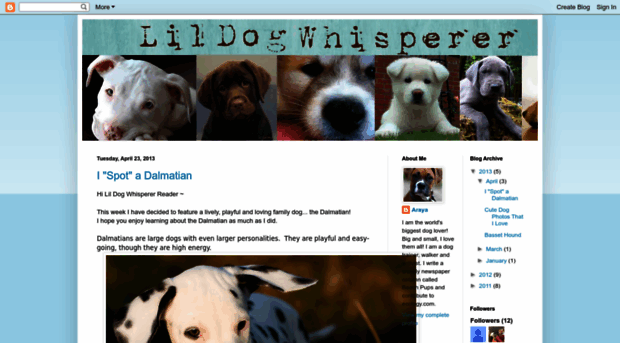 lildogwhisperer.blogspot.com