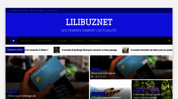 lilibuznet.com