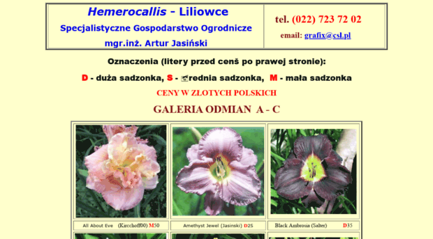 liliowce.csl.pl