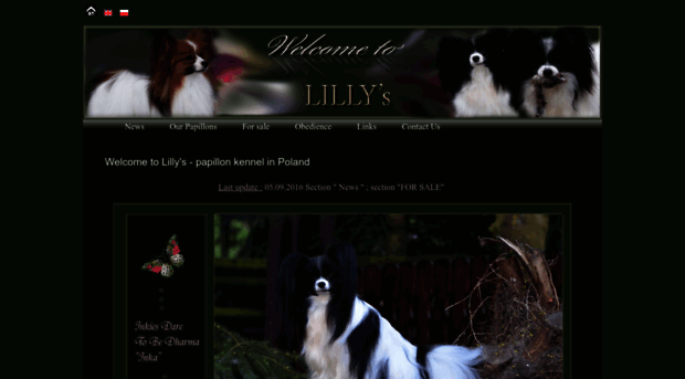 lilly-papillon.com