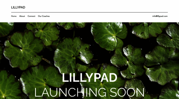 lillypad.com