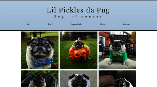 lilpicklesdapug.com