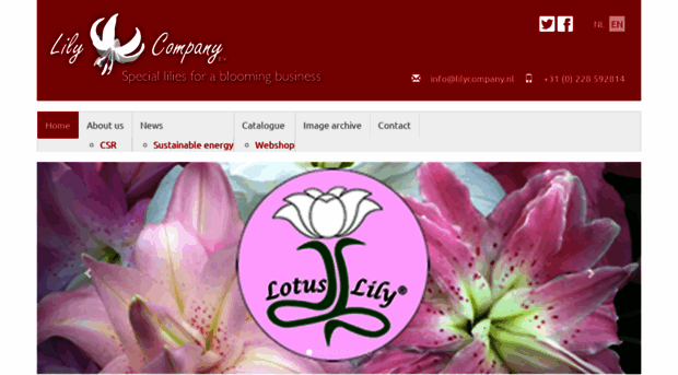 lilycompany.nl