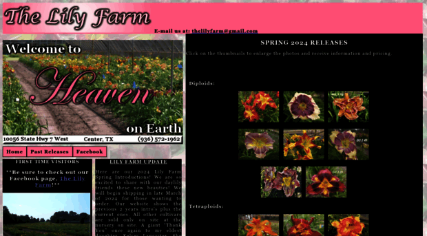 lilyfarm.com