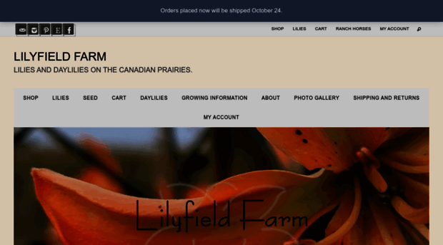 lilyfieldfarm.com