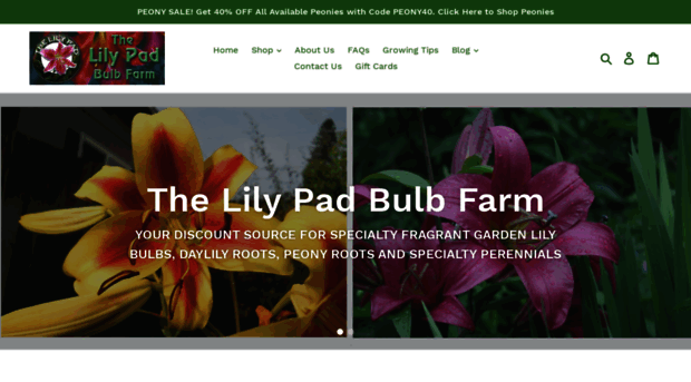 lilypadbulbs.com