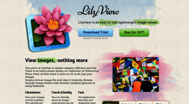 lilyviewapp.com