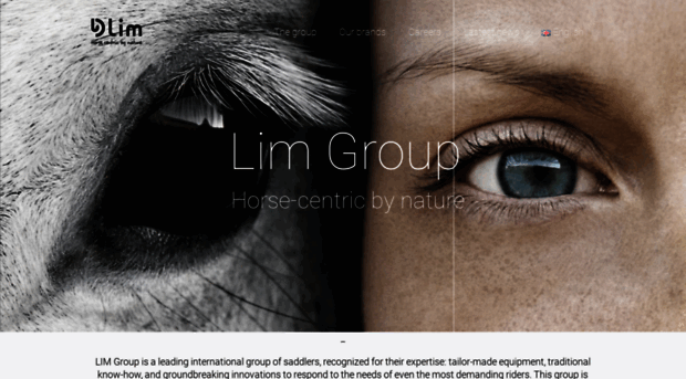 lim-group.com