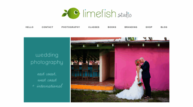 limefishstudio.com