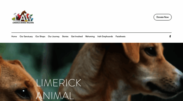 limerickanimalwelfare.com