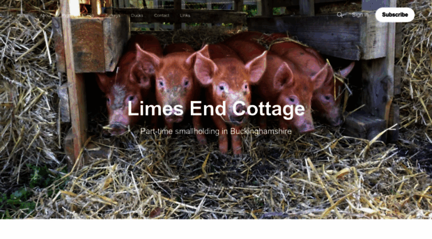 limesendcottage.com