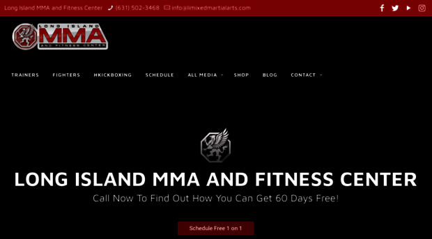 limixedmartialarts.com