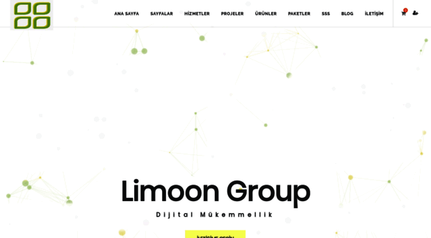 limoongroup.com