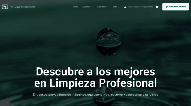 limpiezaprofesional.com
