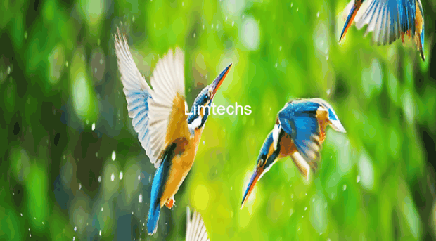 limtechs.com