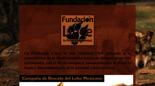 lince.org.mx