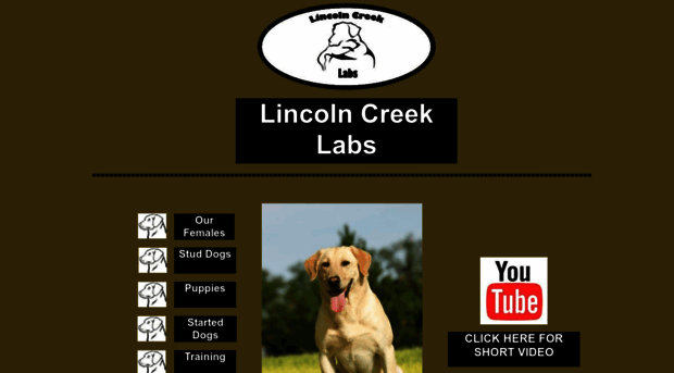 lincolncreeklabs.com