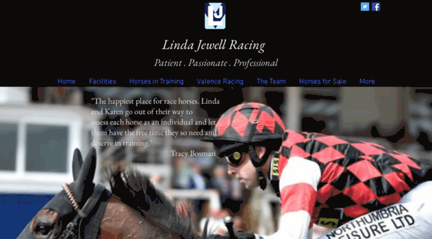 lindajewellracing.com