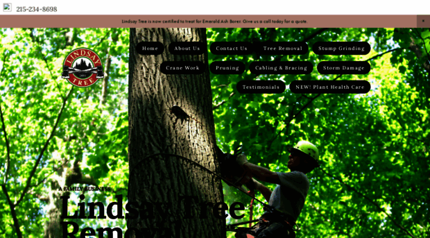 lindsaytree.com