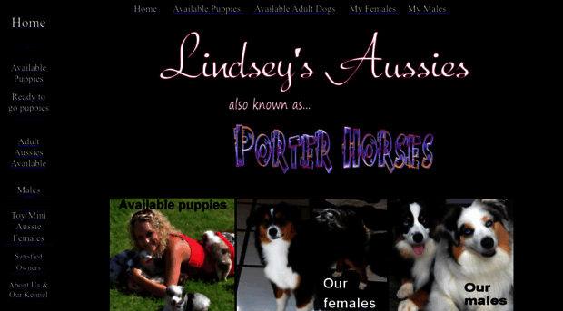 lindseysaussies.com