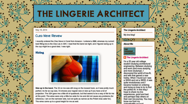 lingeriearchitect.blogspot.com