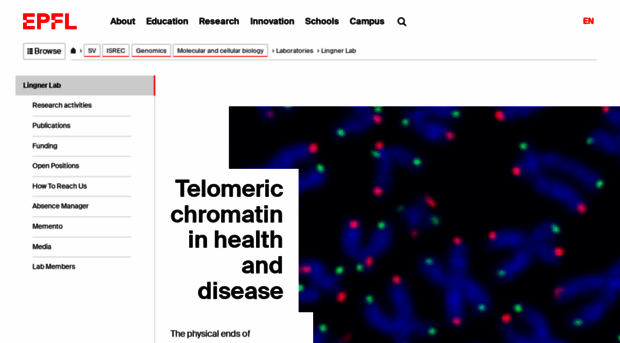lingner-lab.epfl.ch