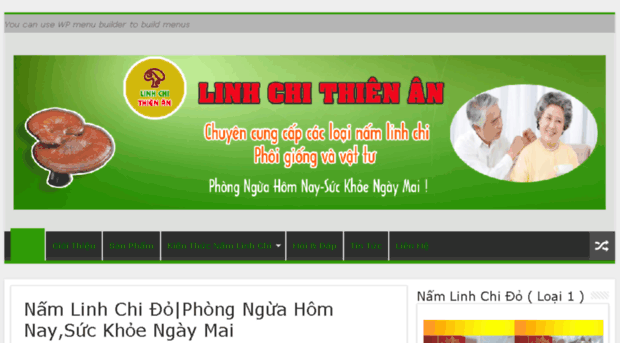 linhchithienan.com