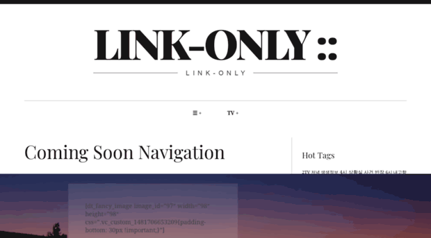 link-only.com