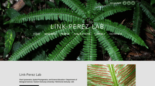 link-perezlab.weebly.com