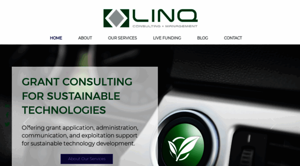 linq-consulting.com