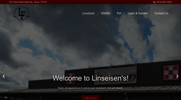 linseisensfeed.com