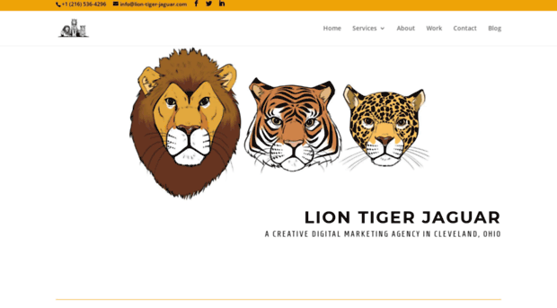 lion-tiger-jaguar.com