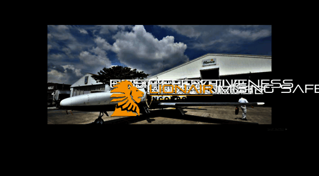 lionairinc.com