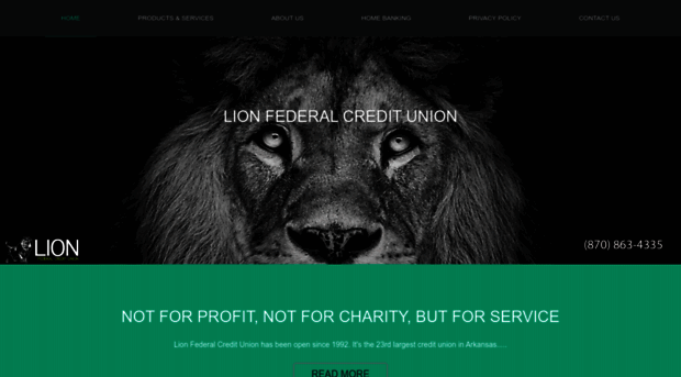 lioncreditunion.com