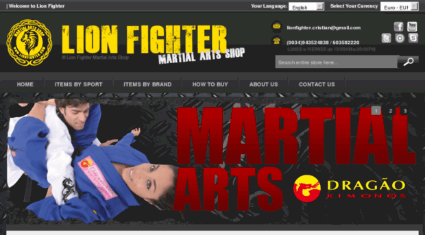lionfighter.com