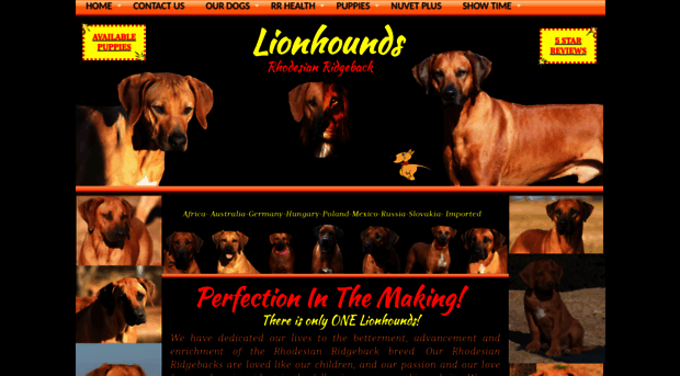 lionhounds.org