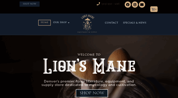 lionsmanedenver.com