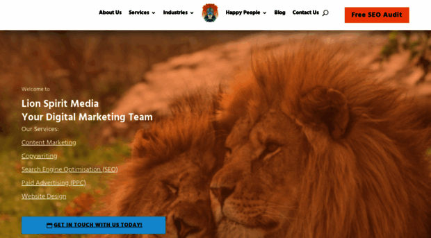 lionspiritmedia.co.uk