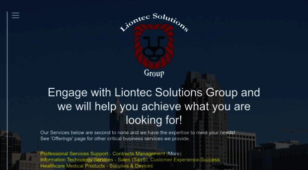 liontecsolutionsgroup.com