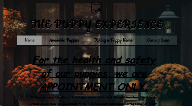 lipuppy.com