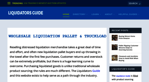 liquidatorsguide.com