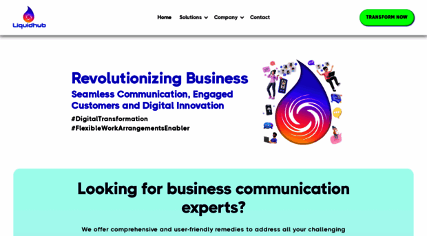 liquidhub.net